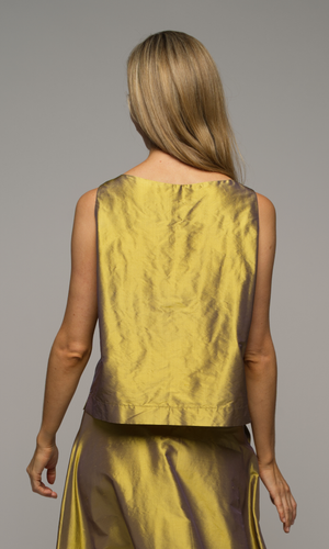 Close up of a woman back showing her wearing a gold sleeveless top and skirt against a gray background.
